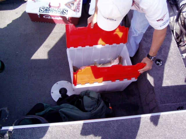 A7F7372E-36E7-4DDF-BE68-7398C18F774F