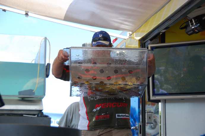 A903BF13-2C94-41B8-81C5-A0EC0AA7776C