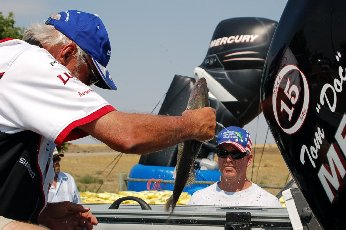 A913B35D-3299-43E5-BED9-EE37356D6C73