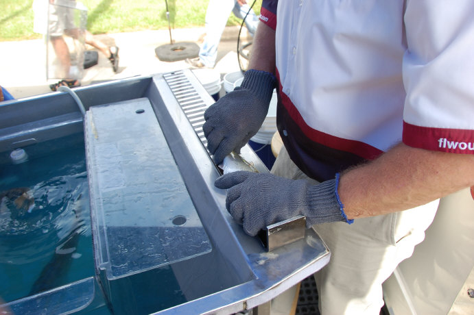 A981570A-6FA2-45BD-8B01-F24D86F98677