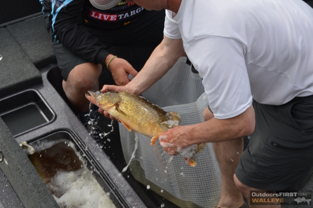 A9AB319F-C4EA-4121-99BC-119D06244540