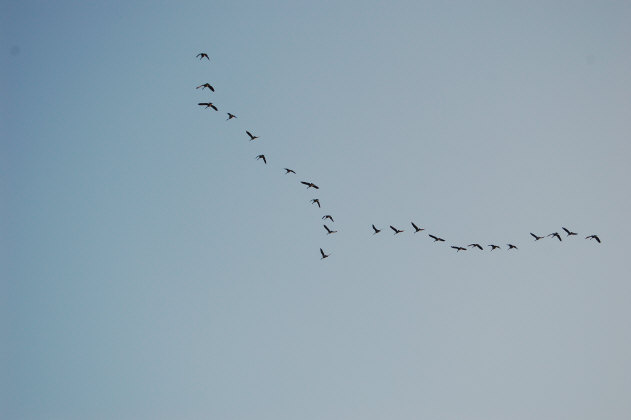 AB1E4A42-4918-474F-ACC0-3D240722D5B7