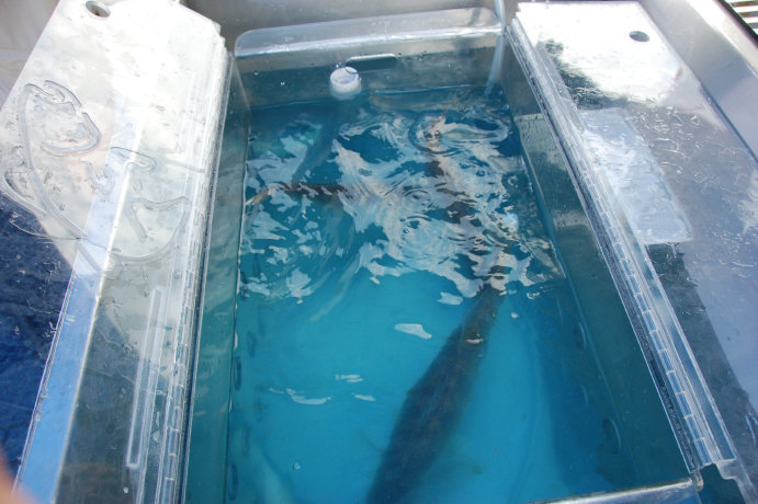 AB862041-99C5-4A94-8A76-FE7528CED154