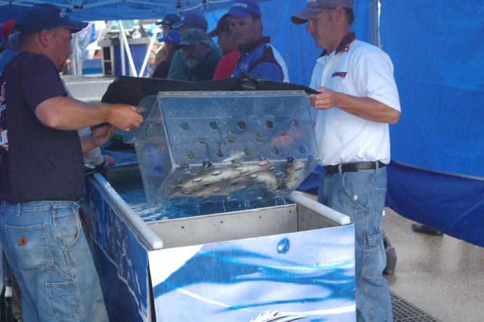 AD6C902C-BCB8-4632-8C09-BE5D5116E669