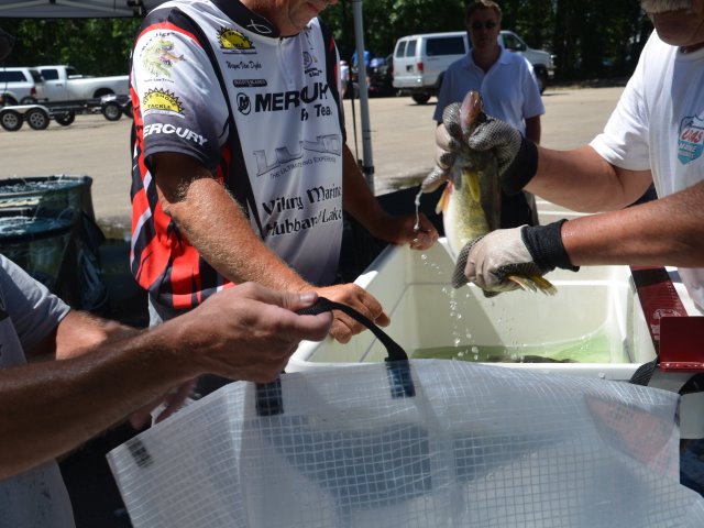 AD9997E9-F4B1-4017-B389-5D0B7D0ED188