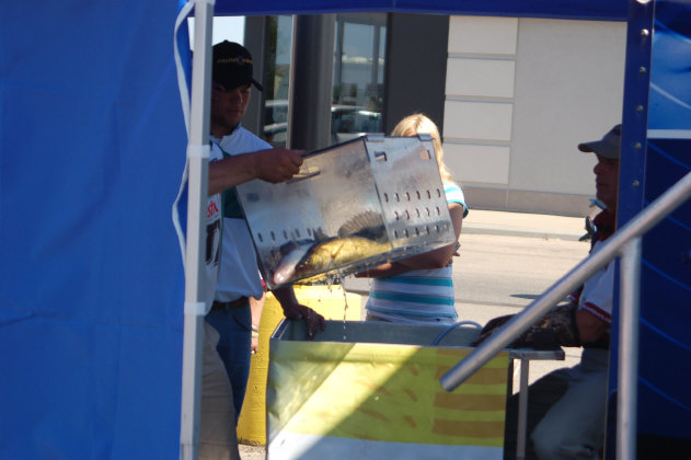 AEDBA483-41F6-42ED-BA2E-D9F39A651EFA