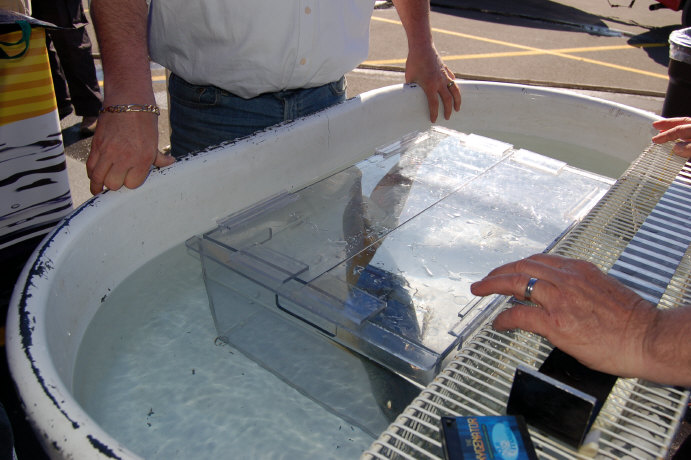 AEE518C3-4261-44E5-A38B-2AE96795C0C8