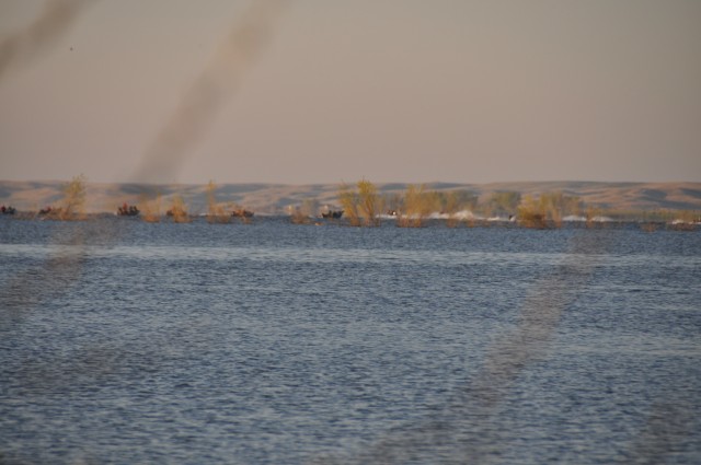 AEE58497-6CF1-4B40-AAFE-A8D2552A86E2