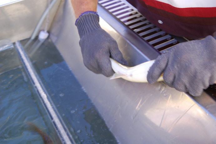 AFA27E03-E323-4EAE-BC57-8C9F7107EF50