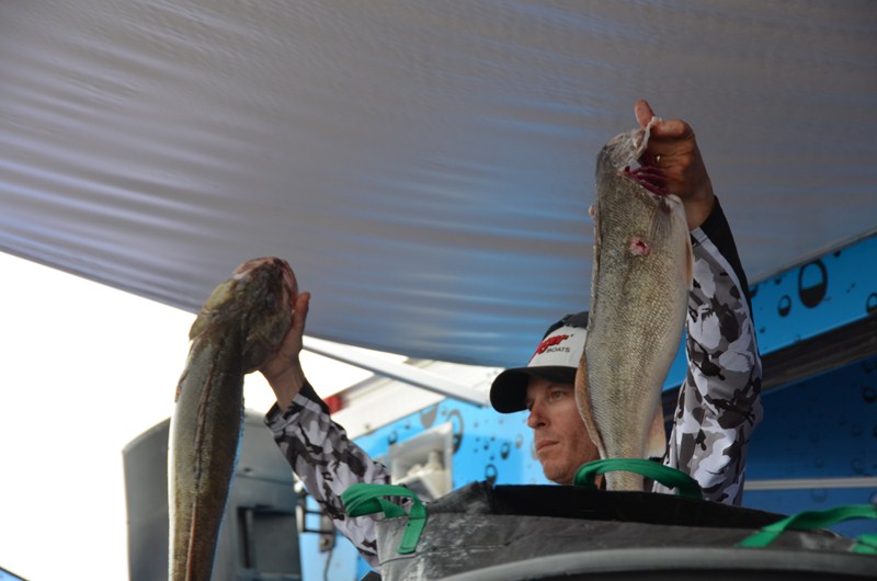 8D1E42DA-209C-4B42-BD63-DB320DDC7439