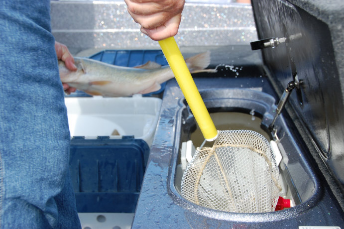 B048362A-A7DE-438F-A0C7-9703D2635A18