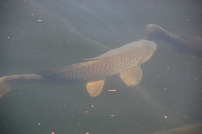 B14C464A-9274-4DA0-B7A6-A7ABA8BC64AE