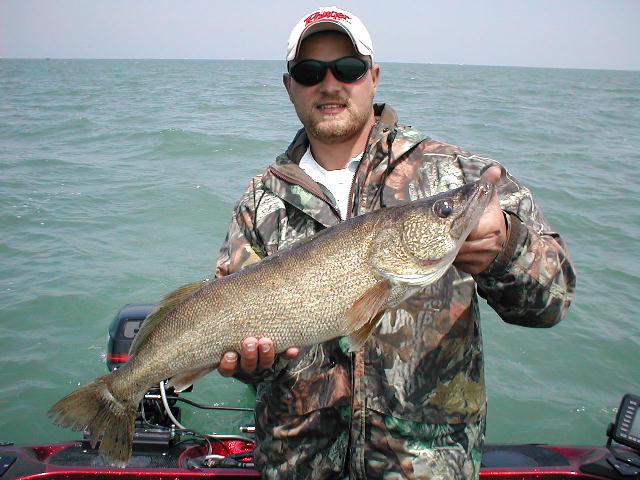 B330748B-D8CF-4342-97FB-3A6AF6C575C3