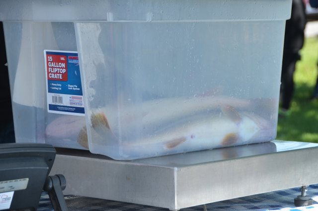 B43A38C0-E45E-414A-901F-38FC988E9CEA