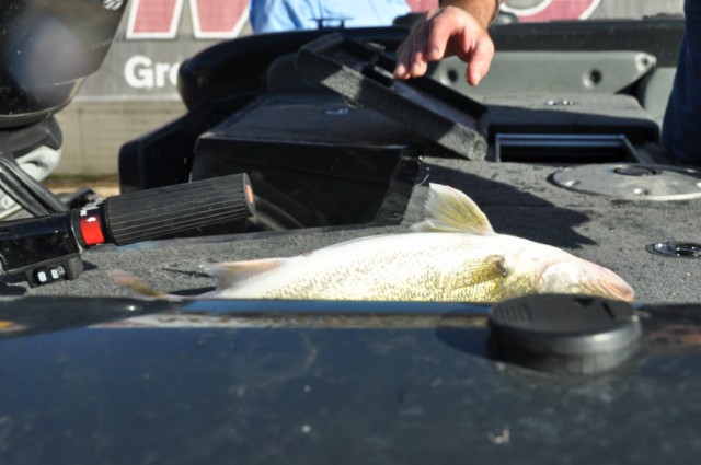 B767A874-0AC1-4B07-9FC0-ABF6626BB6CA