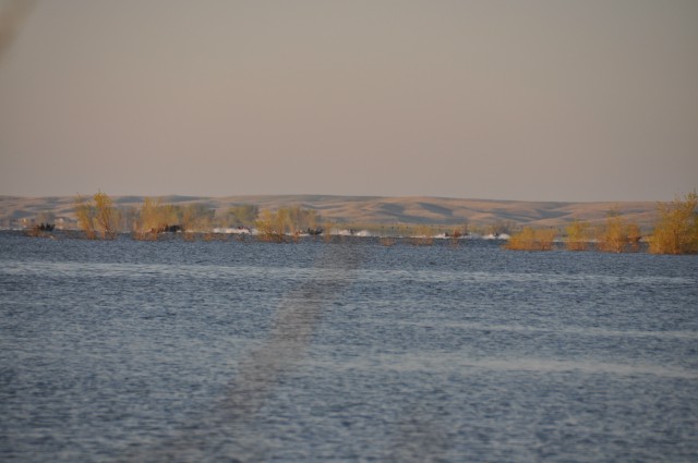 B7993876-EFE5-488C-ACD1-534684624D2A