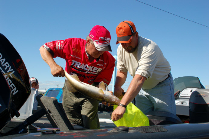 B8BCE59F-7CDF-4152-9019-F2BA1A28F317