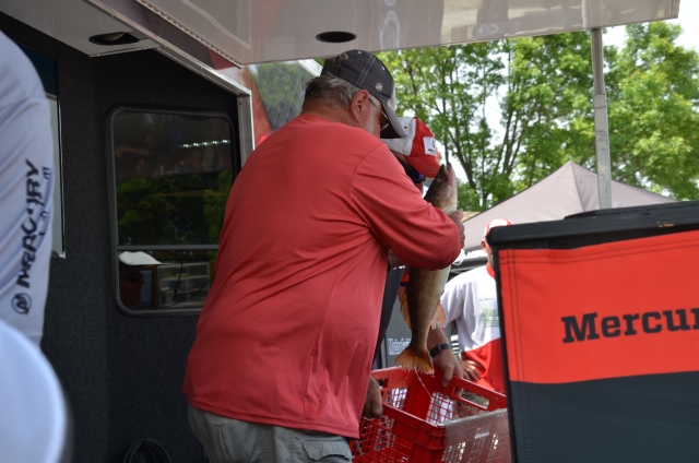 B8D19203-FB02-4812-B686-50F2DB696465