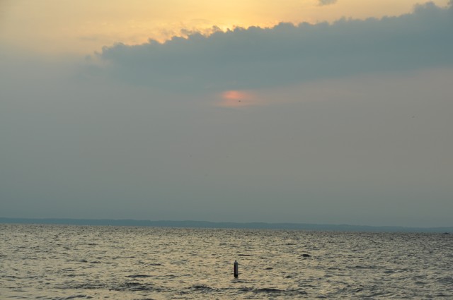 B94E0C7F-3AB7-44F8-981D-B65575D027D5
