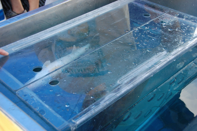 BA0881C2-F081-4DAA-93F1-7ADCFE117322