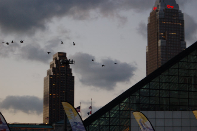 BA49F3C1-246F-4F90-BE8D-7BF4261A0650