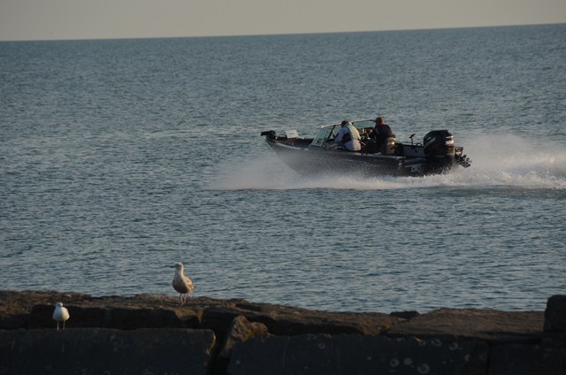 BA96129F-801F-48EE-810D-0D671D029049