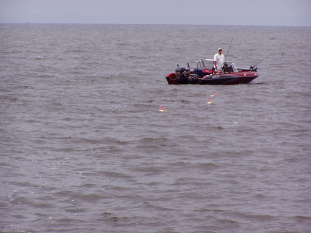 BAC559FF-7B14-4C85-AD7C-B829D61C64C9