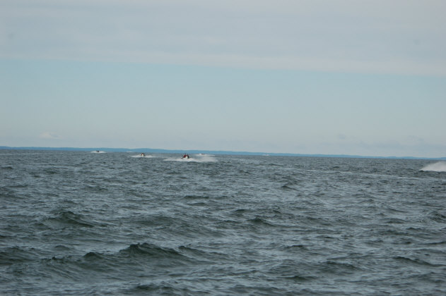 BB8D802A-95D3-46EB-A44D-DF5D6FF2E8BC