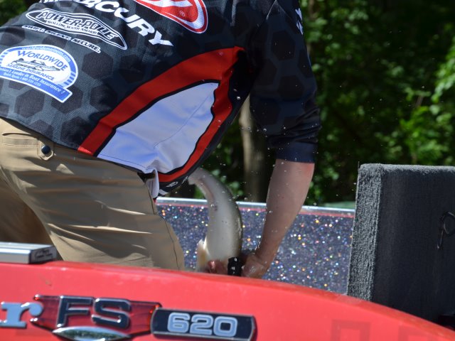 BBBCC9F0-0F22-49C6-8A91-9B8432185E49