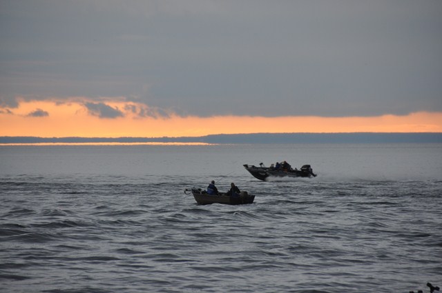 BC0D181E-81CB-4C15-919D-F64DCE1C357B