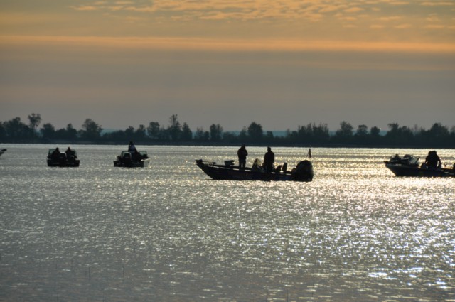 BC2B606D-BD56-437E-91DB-FF7FFE82753D