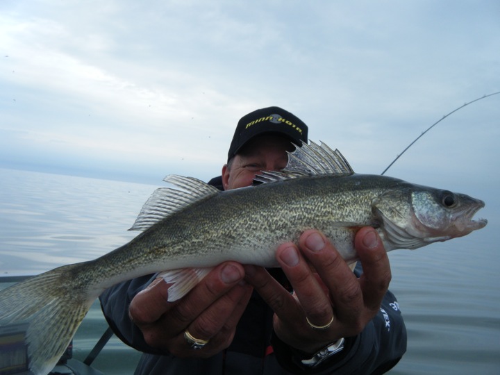 BCA34A6B-DD60-46EC-8E24-6A50ABC03F9B