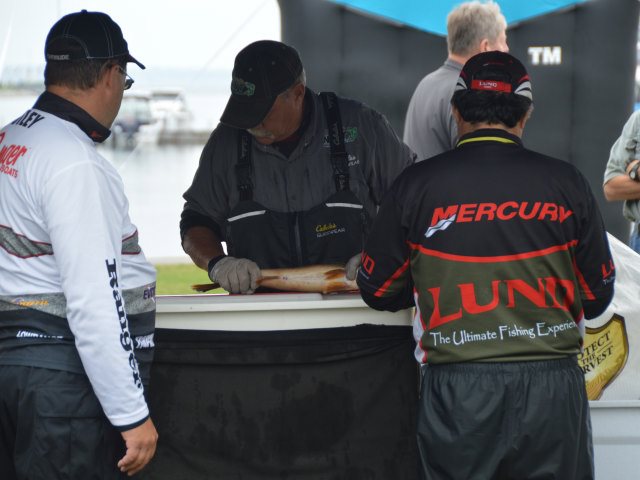 BD4C117C-4919-4A8C-8403-5B1EA2844877