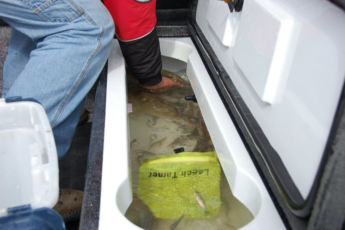 BD85BAF4-3774-4EF4-A259-7D831A5FE593