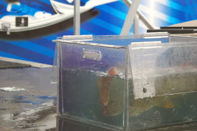 BDAEB173-CFC5-4EC3-B7DA-FCE807286AB2