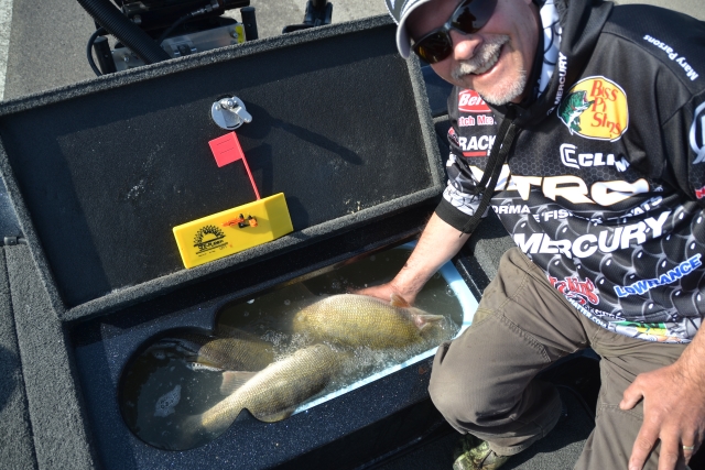 BE3D148D-CAB1-4DBA-9946-FB6D12B62839