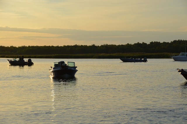 BEAF6F59-95B0-42FE-A0E7-B5619F4B62FF