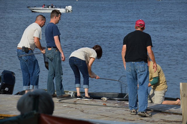 BFA10FFA-CDB2-424D-BF99-447F8E32978D