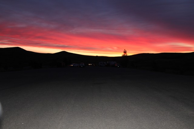 C08F39B8-4E6F-4186-AC5B-9DE6656C364C