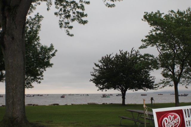 C331EF6B-B7A8-44D8-A37F-627684DE17EB