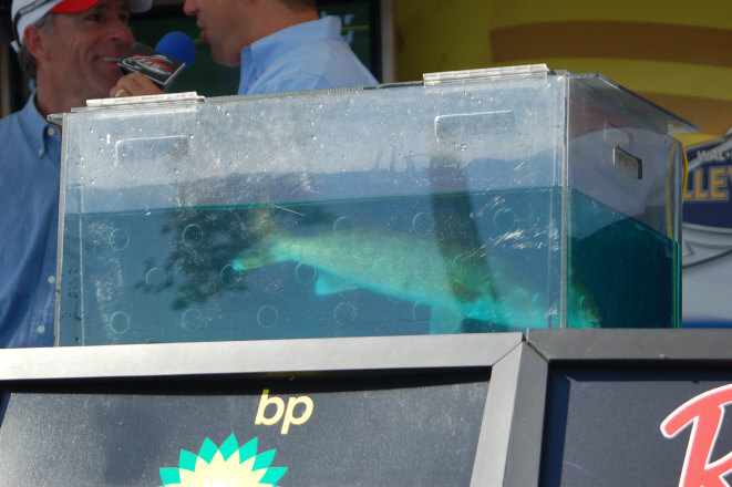 C332BDE4-42CE-4223-B134-91D21DC8E26D