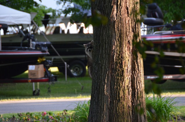 C3D922D4-588F-4FF2-9166-B04ECFC54A50