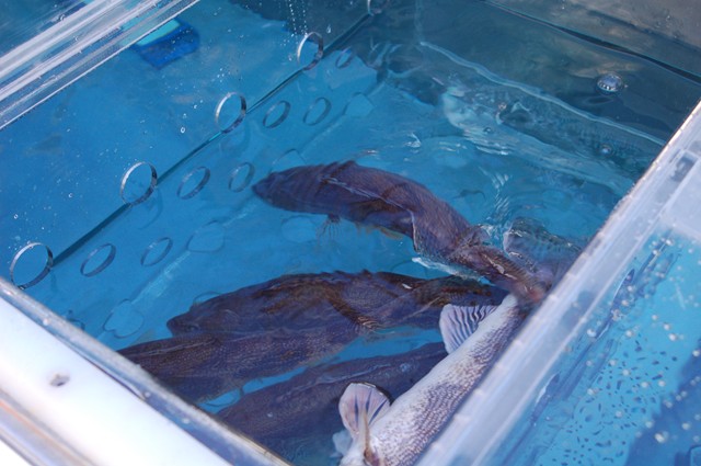 C3E6177C-14DF-4627-827F-93AAAAB98308