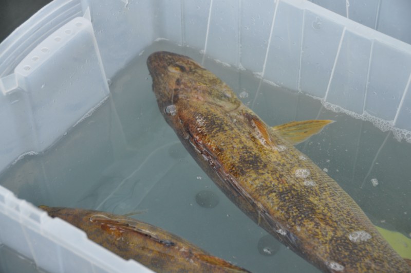 C3F528E8-F2C8-44CD-AB8D-04F101BE2DB0