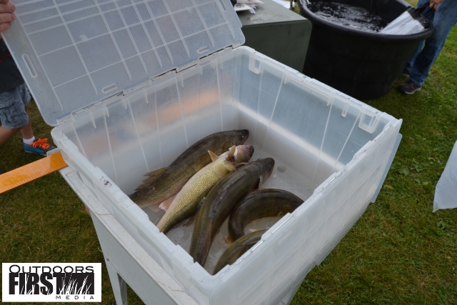 C4104C47-F435-4D97-87DA-A433851CA864