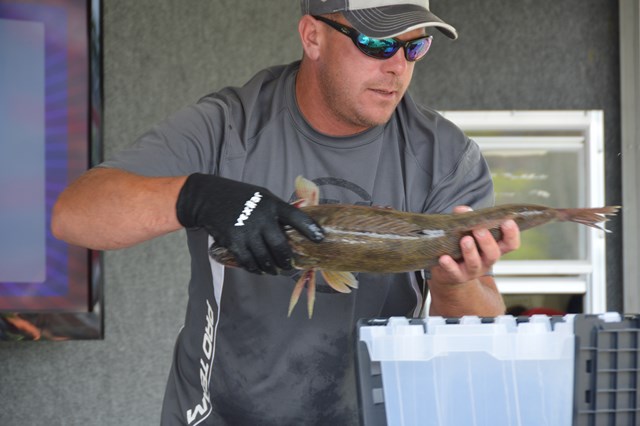 C6F0A529-2262-4E8C-8197-15C1AA79140B