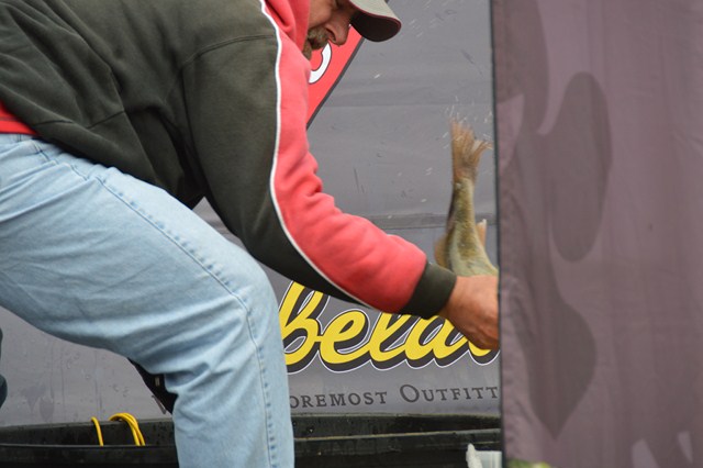 C74B739A-DF8B-4678-A286-7F67E0F602A2