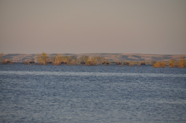 C7861A0D-D84F-4B0B-BF13-FB24DBB9B70D