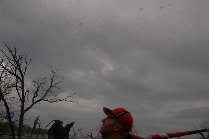 C89A3F41-49D1-4813-8274-BC7D746C1F5E