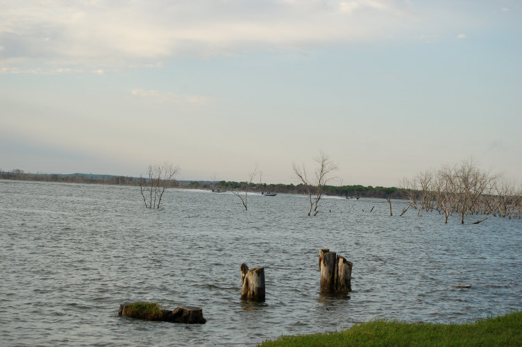 C9499C25-5B67-4C88-9EFC-C92EC709CBD3